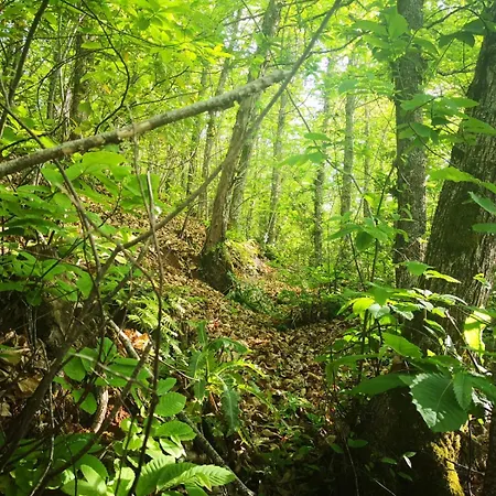 Naturacanaria Prázdninový dům
