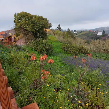 Naturacanaria Prázdninový dům Moya (Gran Canaria)