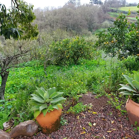 Naturacanaria * Moya (Gran Canaria)