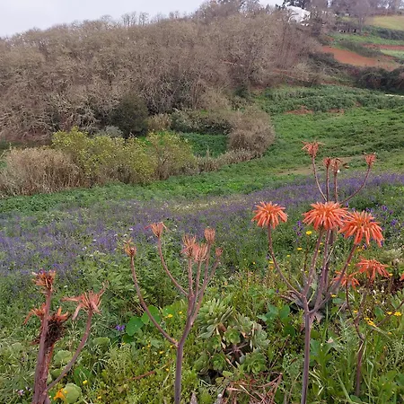 Naturacanaria בית נופש
